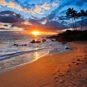 Meet your Posher, Daniela